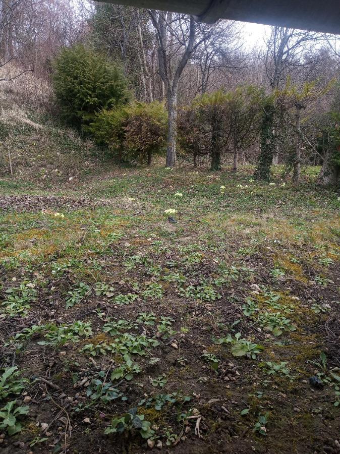 Holiday Home Nature Plesivica Ястребарско Екстериор снимка