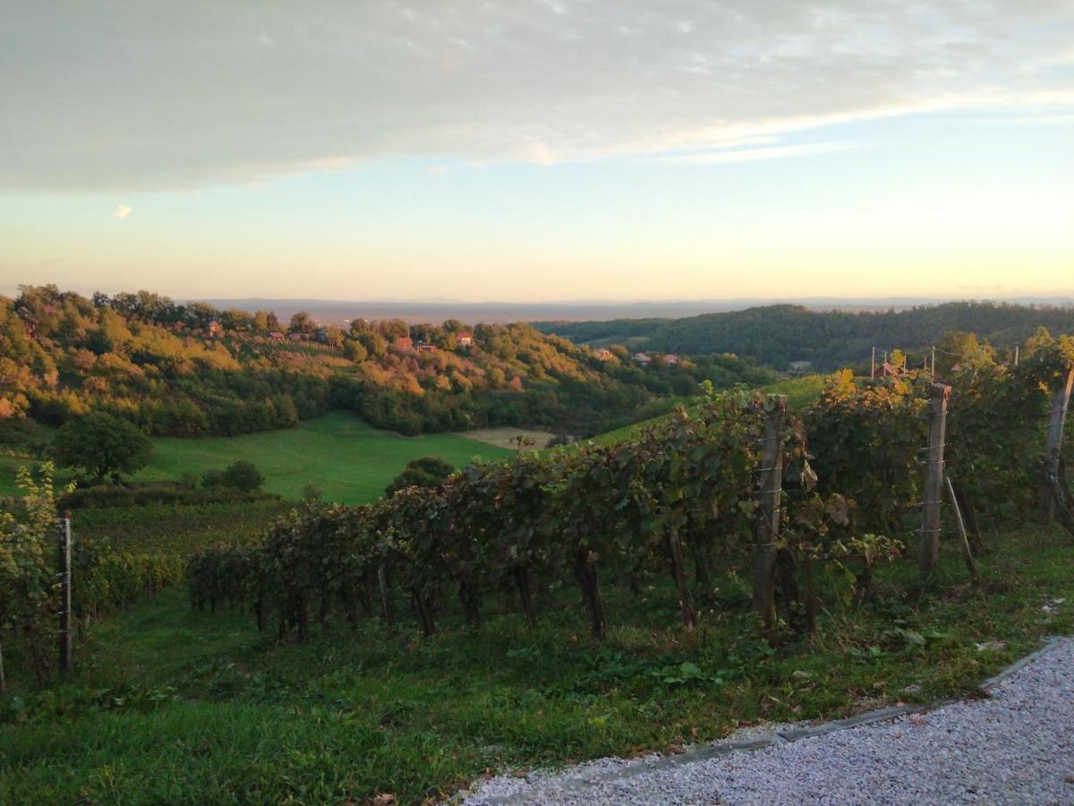 Holiday Home Nature Plesivica Ястребарско Екстериор снимка